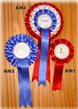 amber range show rosettes dorset