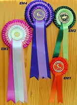 emerald range show rosettes dorset