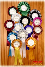 gem range show rosettes dorset