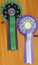 jet range show rosettes dorset