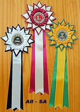 sapphire range show rosettes dorset